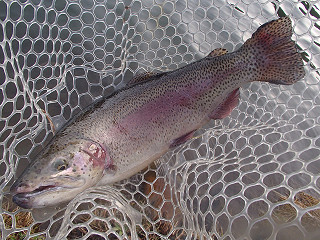 f0065341_1215179.jpg