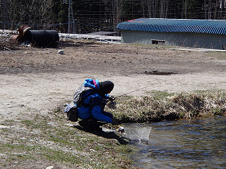 f0065341_1235297.jpg