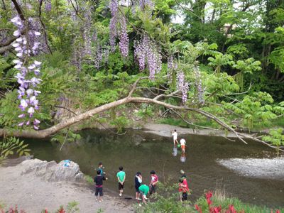 d0124543_695247.jpg