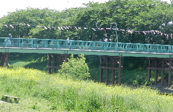 e0172950_88379.jpg