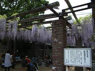 a0064474_1450412.jpg