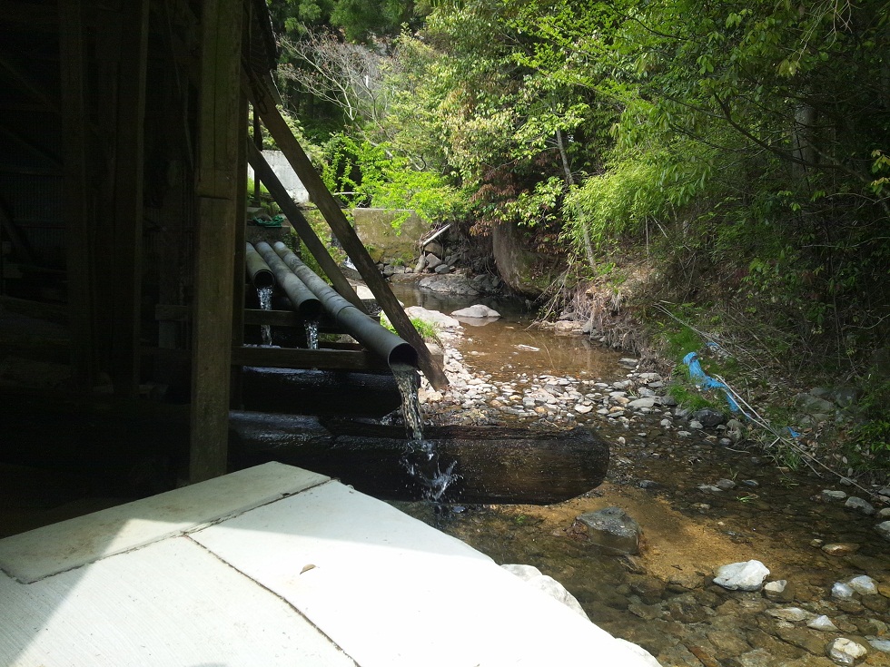 b0288080_83709.jpg