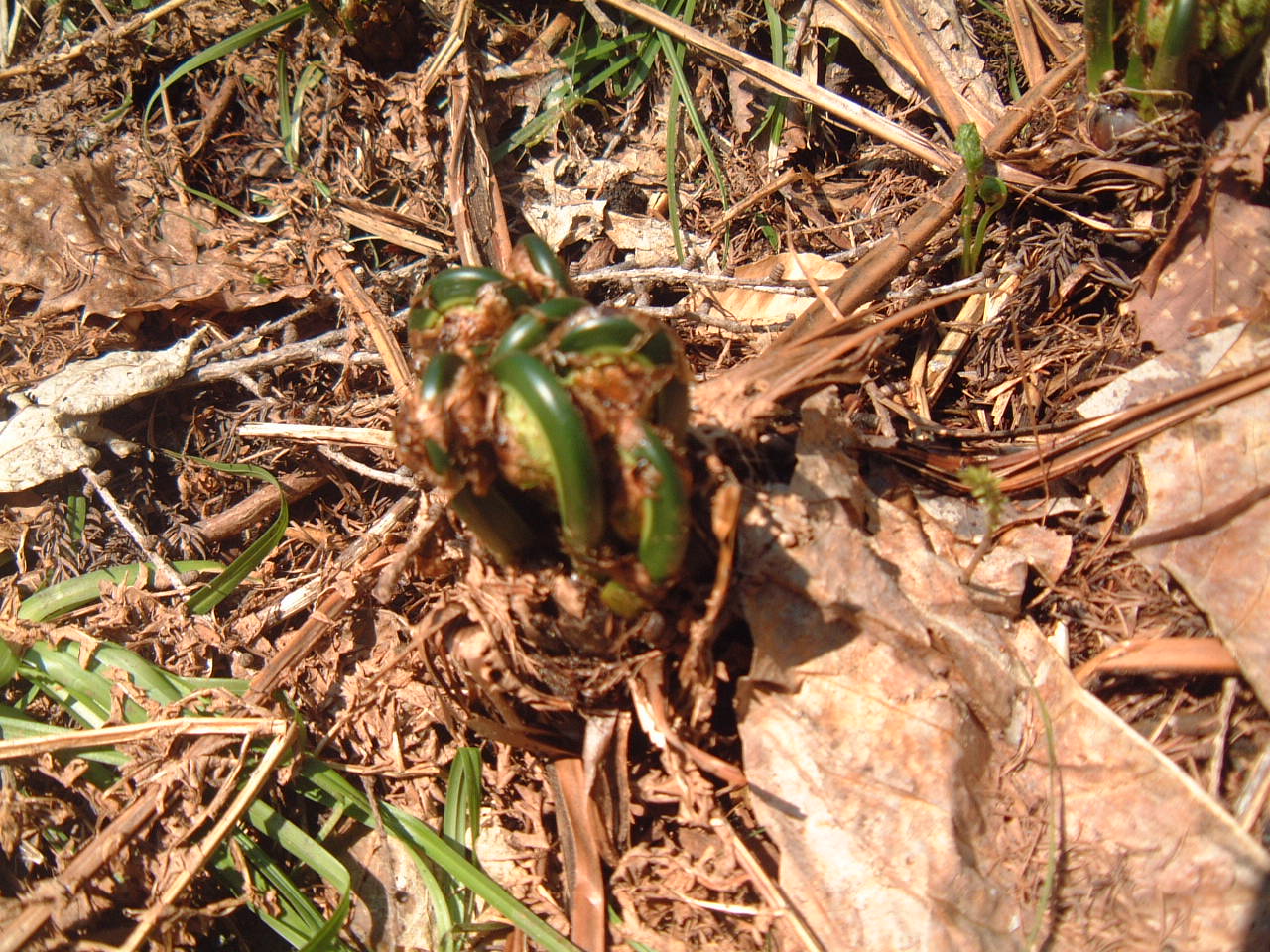c0237780_15113014.jpg