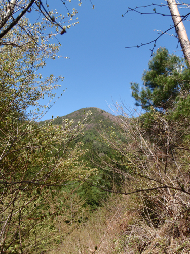 a0224382_237315.jpg