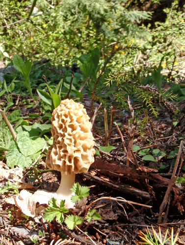 a0224382_237479.jpg
