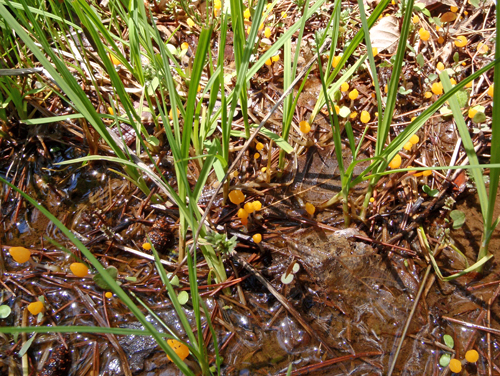 a0224382_2572314.jpg