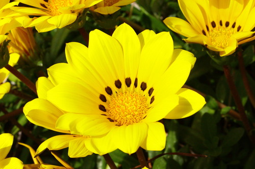 c0204385_1821282.jpg