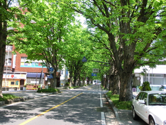 b0203588_2119517.jpg