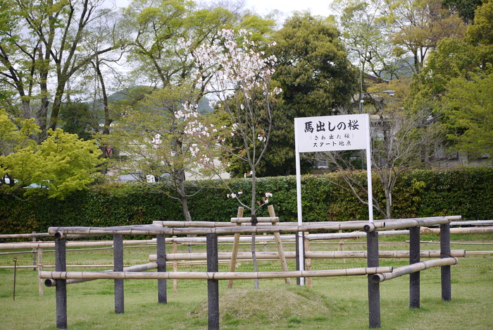 a0127090_1550552.jpg