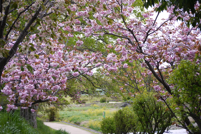 a0127090_167733.jpg