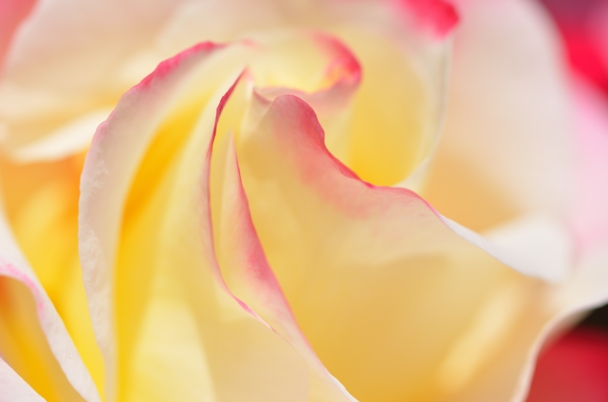 f0233999_2216492.jpg