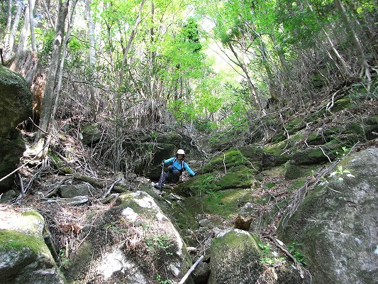 f0187402_072376.jpg