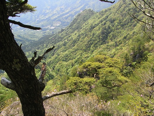 f0187402_07325.jpg