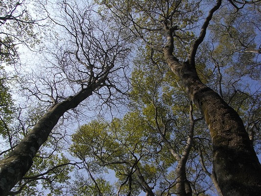 f0187402_073923.jpg