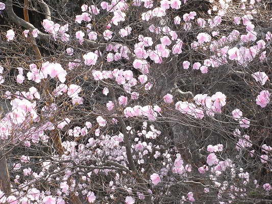 f0187402_074648.jpg
