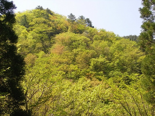 f0187402_083790.jpg