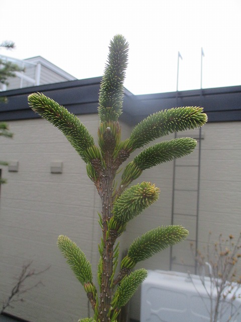 f0202703_23325728.jpg