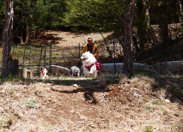 e0018604_921507.jpg