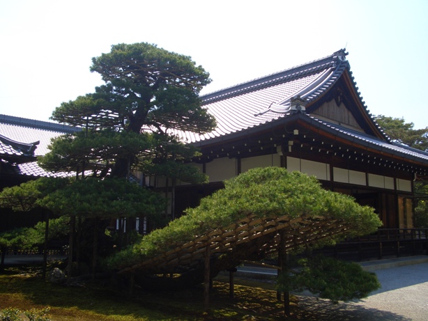 e0033713_19325714.jpg