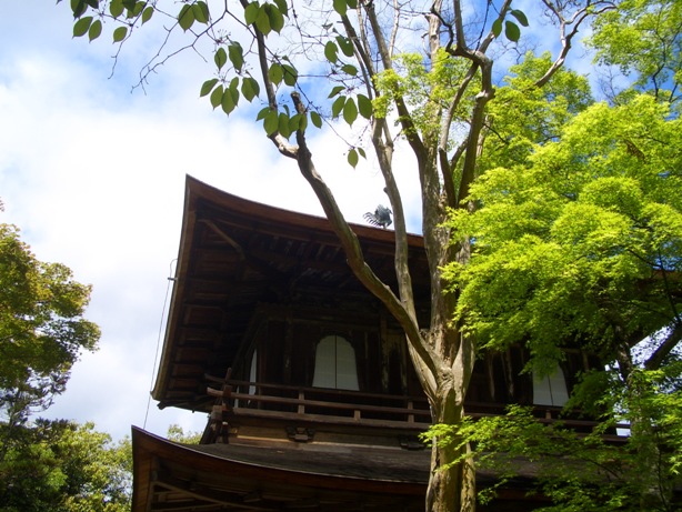 e0033713_2002259.jpg