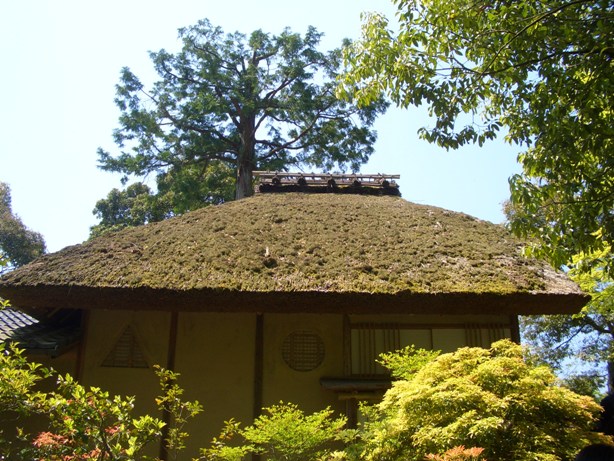 e0033713_2044656.jpg