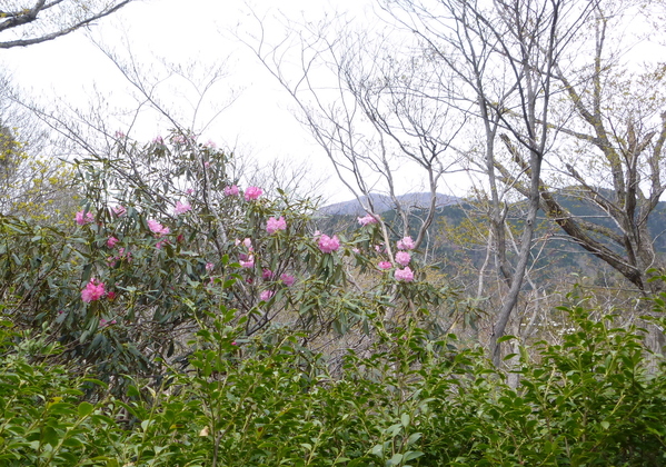 d0170615_2165270.jpg
