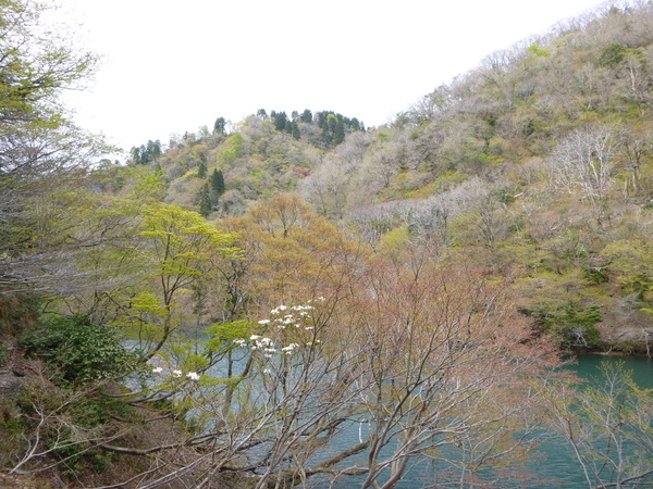 d0170615_2175956.jpg