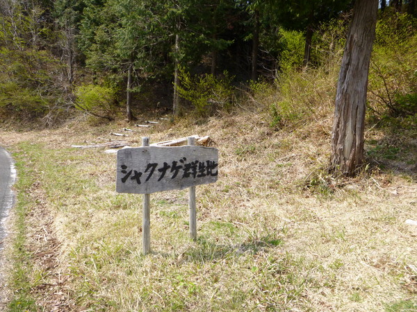 d0170615_2191389.jpg