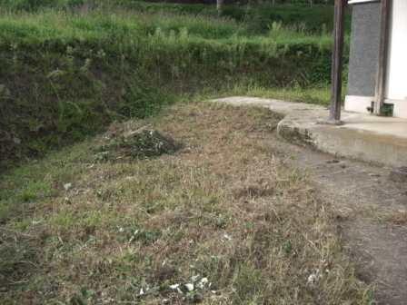 d0167621_2317344.jpg
