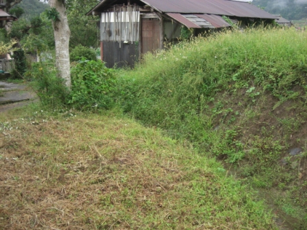 d0167621_23245352.jpg