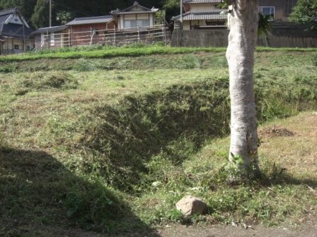 d0167621_2325768.jpg