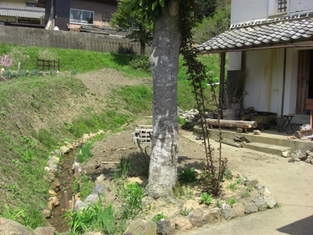 d0167621_23401294.jpg