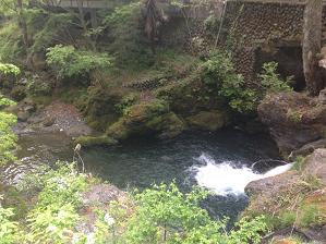 f0214521_19105388.jpg