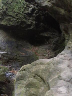 f0214521_19131988.jpg