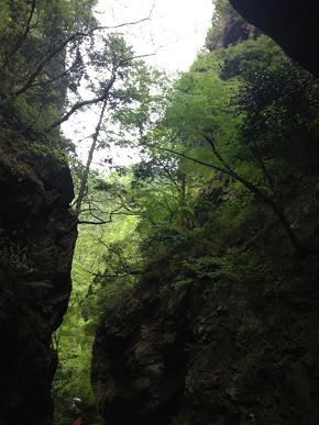 f0214521_1913415.jpg