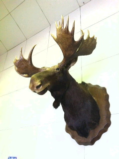 c0074025_20475780.jpg