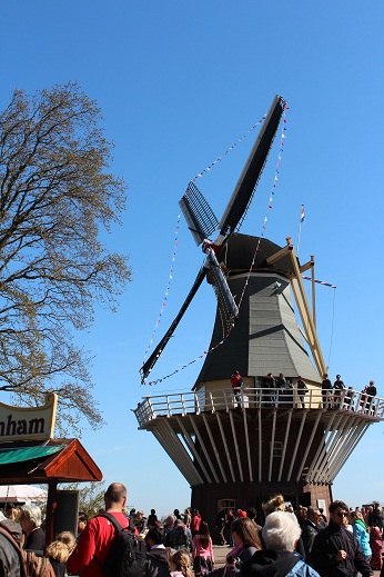 a0154827_20445756.jpg