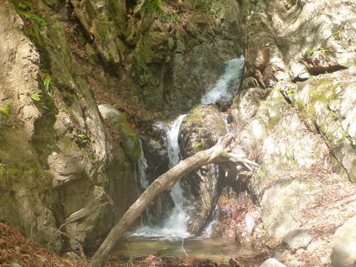 b0195927_22402919.jpg
