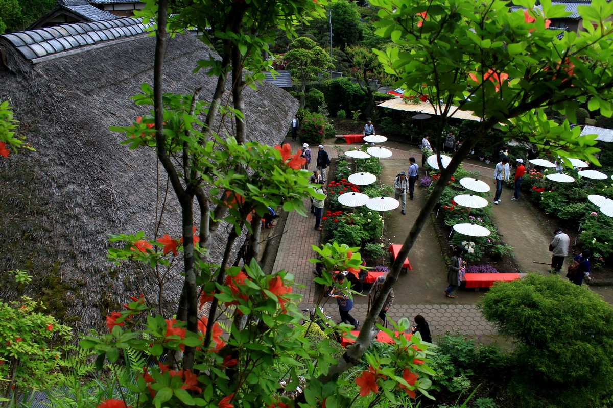 c0104227_54575.jpg