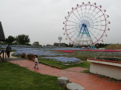 c0157729_1823546.jpg