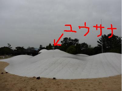 c0157729_18544193.jpg