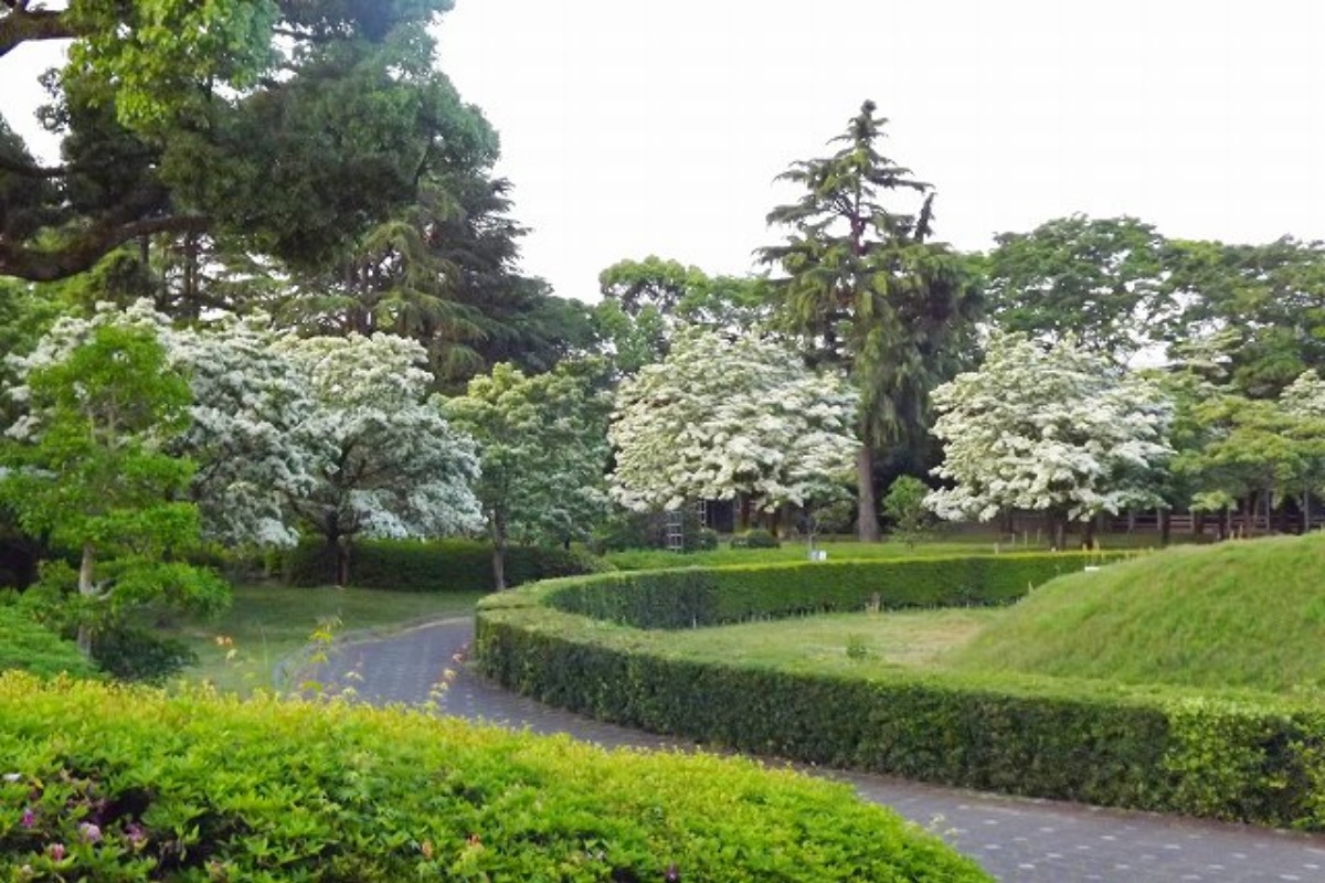 e0033229_17461276.jpg
