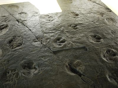 f0165831_22482611.jpg