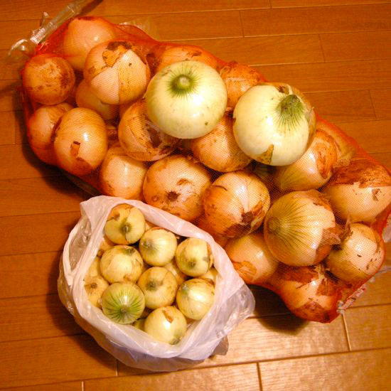 e0247832_182349.jpg