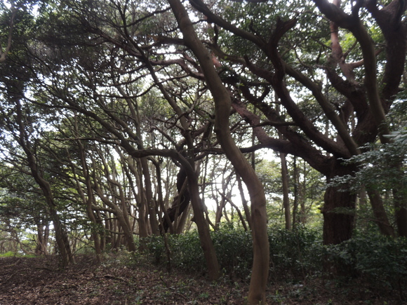 f0118332_2019463.jpg