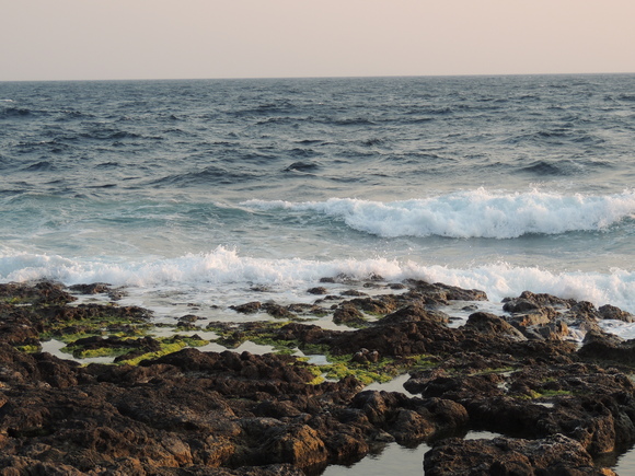 f0118332_20281055.jpg