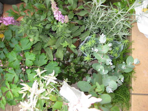f0061334_22243730.jpg