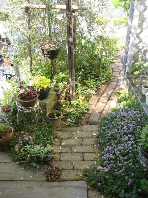 f0061334_22264780.jpg