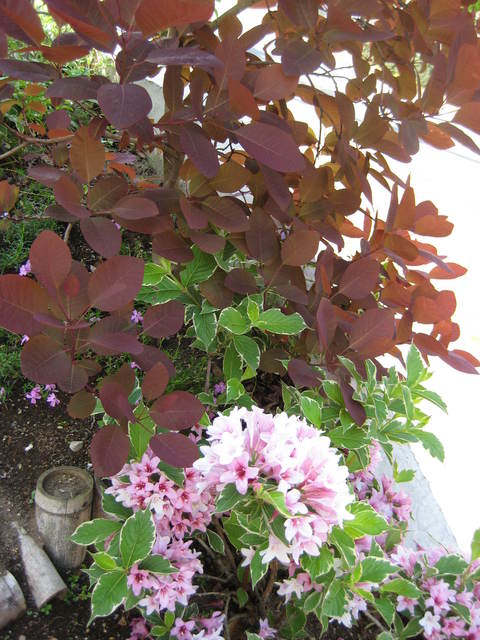 f0061334_2227372.jpg