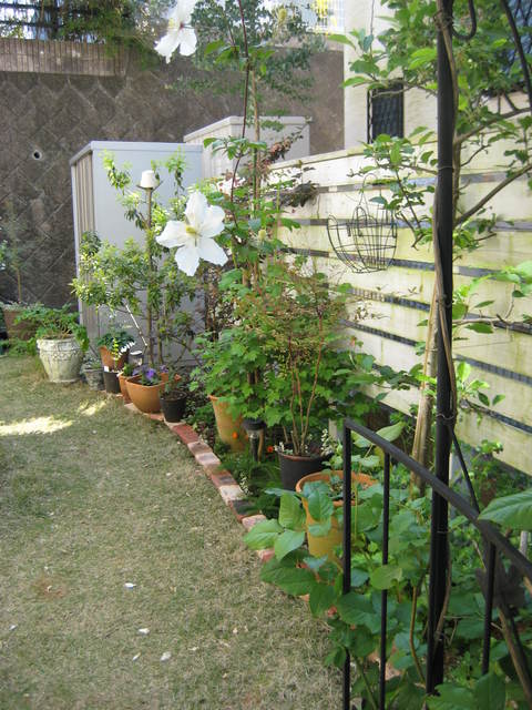 f0061334_2227459.jpg